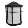 9.5 in. Black LED Outdoor Wall Lamp with Frosted Glass Shade by Cordelia Lighting