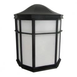 9.5 in. Black LED Outdoor Wall Lamp with Frosted Glass Shade by Cordelia Lighting